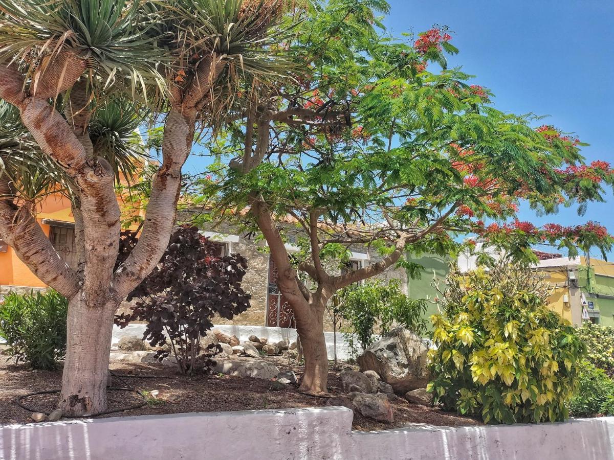 Casa En La Ladera - Real Vibe - Beach & Mountain San Nicolás Eksteriør billede